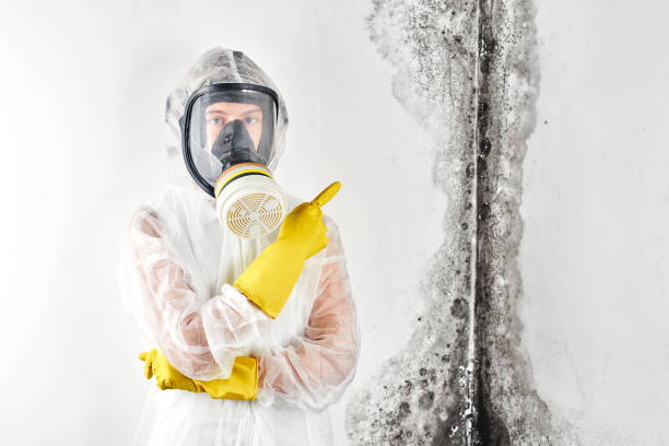 Best Water Damage & Mold Remediation  in Boiling Springs, NC