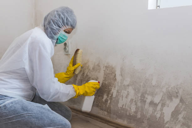 Mold Documentation for Insurance Claims in Boiling Springs, NC